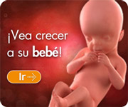 Watch Your Baby Grow Watch Your Baby Grow