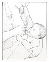 Mother holding her breast to get baby ready to nurse