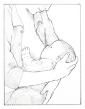 Baby latched onto the mother's breast