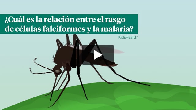 ¿Cuál es la relación entre el rasgo de células falciformes y la malaria?