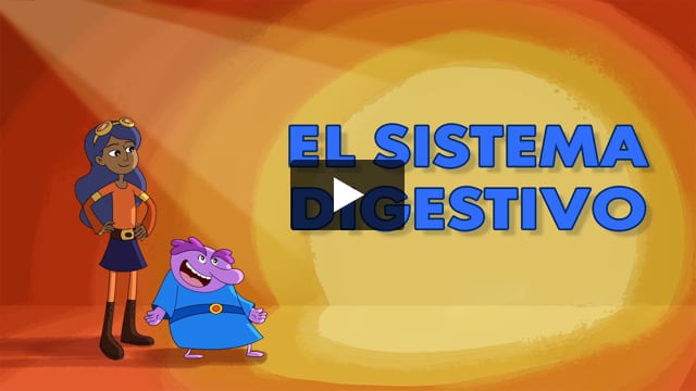 El aparato digestivo