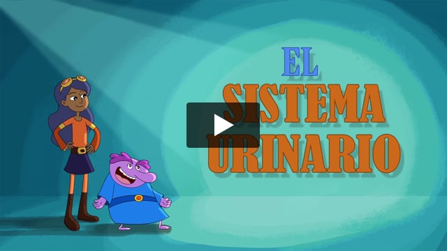El aparato urinario