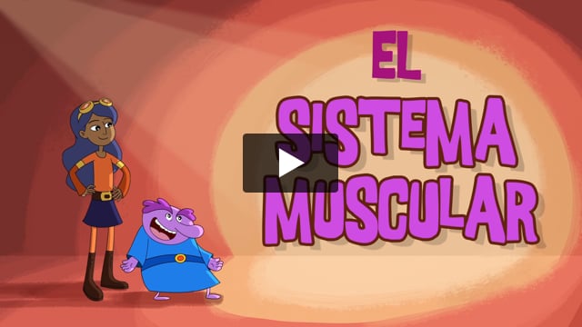 El sistema muscular