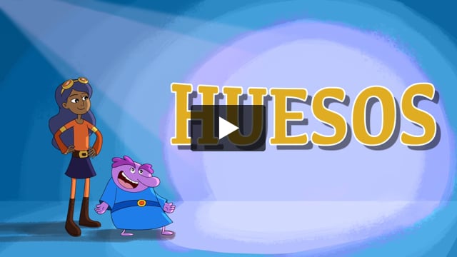 Los huesos y el sistema esquelético