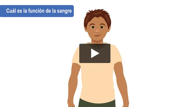Cuál es la función de la sangre