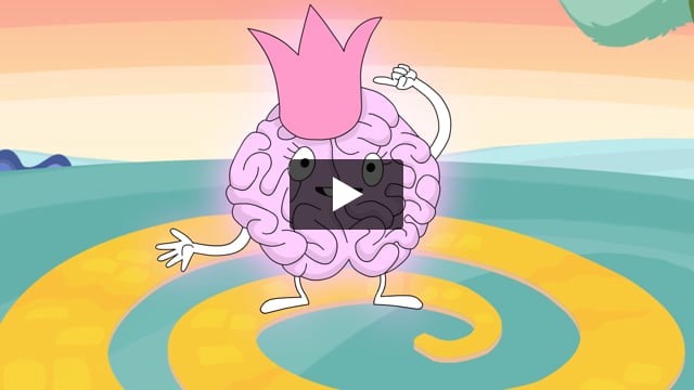 How the Brain & Nervous System Work