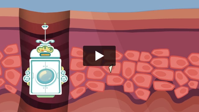 How the Skin Works