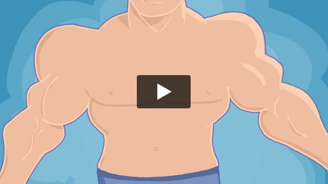 How Muscles Work