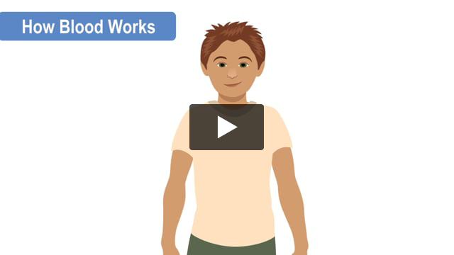 How Blood Works