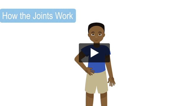 How the Joints Work