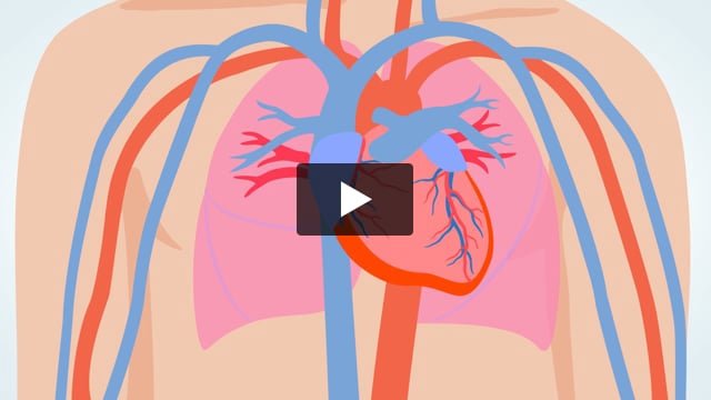 Watch the Heart Pump