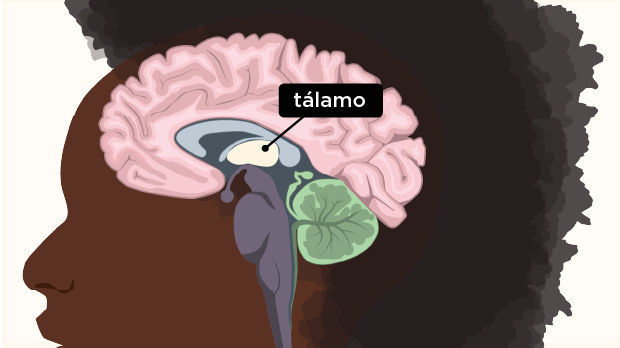 theBrain_Slides [Recovered]_verification_temp