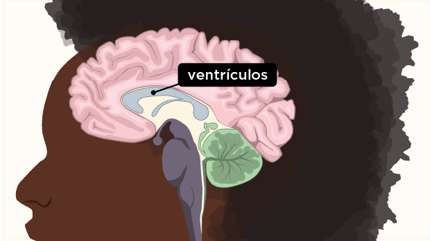 theBrain_Slides [Recovered]_verification_temp